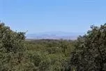 19380 Macho Rd, Red Bluff, CA 96080 photo 25