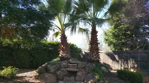 542 Fair Hill Dr, Redding, CA 96003 photo 28