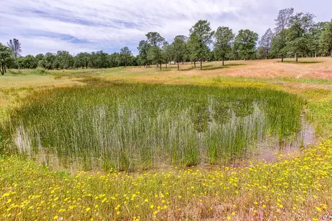 12786 Intermountain Rd, Redding, CA 96003 photo 52