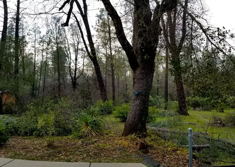 3083 Keswick Dam Rd, Redding, CA 96003 photo 6