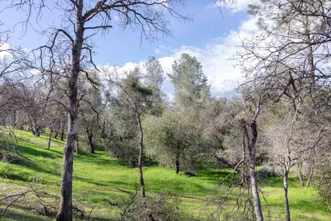 17804 Benfer Dr, Anderson, CA 96007 photo 54