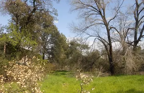 1449 Magnolia Ave, Redding, CA 96001 photo 2