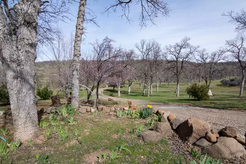 24499 Bascom Rd, Millville, CA 96062 photo 21