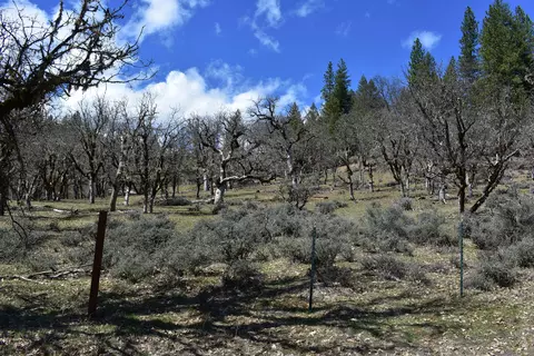 1110 Mcalexander Rd, Hayfork, CA 96041 photo 28