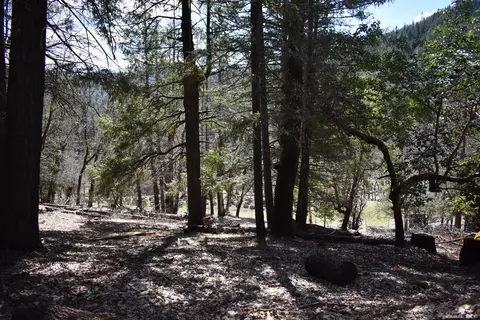 1110 Mcalexander Rd, Hayfork, CA 96041 photo 25