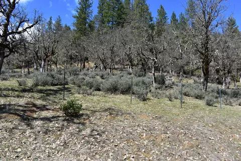 1110 Mcalexander Rd, Hayfork, CA 96041 photo 29