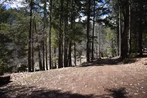 1110 Mcalexander Rd, Hayfork, CA 96041 photo 23