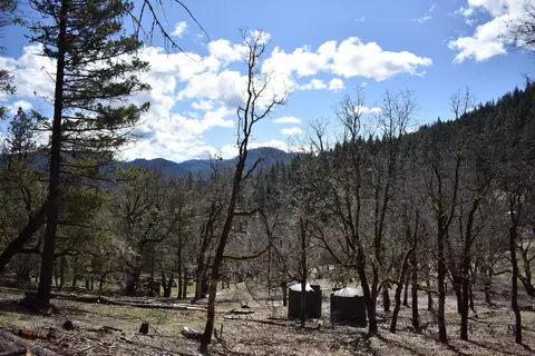 1110 Mcalexander Rd, Hayfork, CA 96041 photo 30
