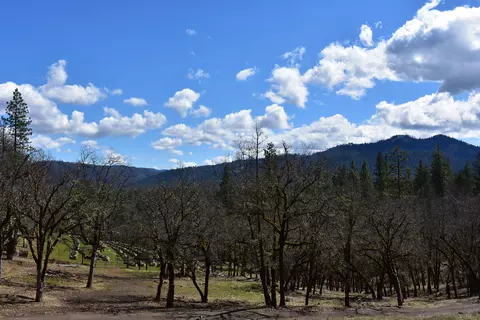 1110 Mcalexander Rd, Hayfork, CA 96041 photo 27