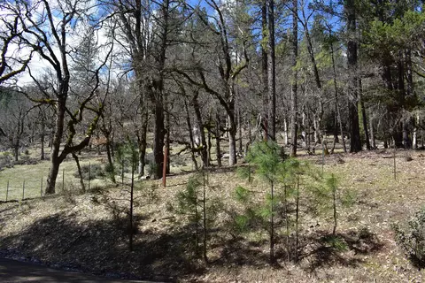 1110 Mcalexander Rd, Hayfork, CA 96041 photo 33