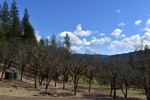 1110 Mcalexander Rd, Hayfork, CA 96041 photo 24