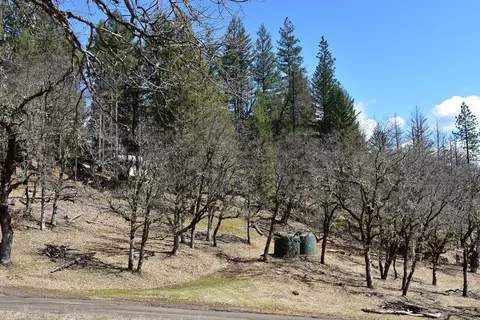 1110 Mcalexander Rd, Hayfork, CA 96041 photo 31