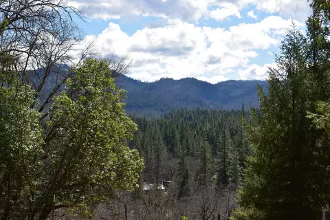 1110 Mcalexander Rd, Hayfork, CA 96041 photo 22