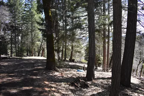 1110 Mcalexander Rd, Hayfork, CA 96041 photo 26