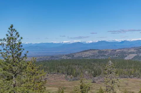 7315 Sleepy Ln, Shingletown, CA 96088 photo 56
