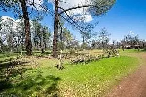 5518 Dover, Anderson, CA 96007 photo 19