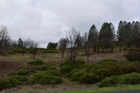 10199 State Highway 3, Hayfork, CA 96041 photo 8
