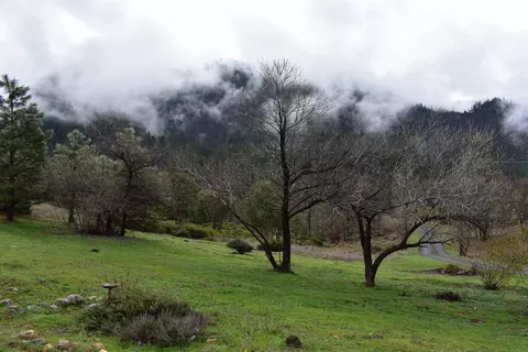10199 State Highway 3, Hayfork, CA 96041 photo 5