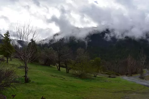 10199 State Highway 3, Hayfork, CA 96041 photo 16