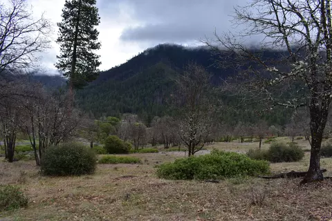 10199 State Highway 3, Hayfork, CA 96041 photo 29