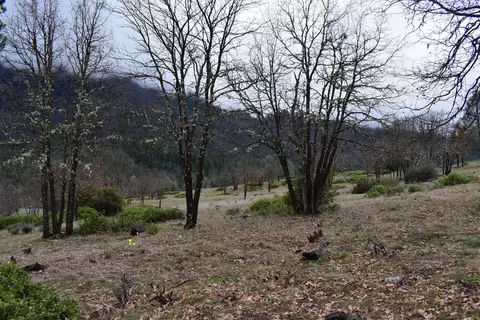 10199 State Highway 3, Hayfork, CA 96041 photo 28
