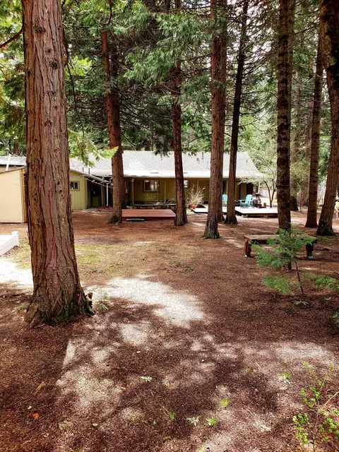 33848 Constellation Dr, Shingletown, CA 96088 photo 58