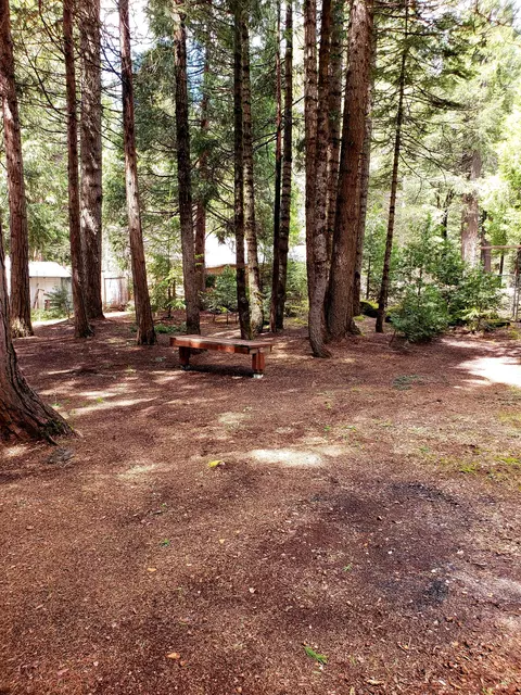 33848 Constellation Dr, Shingletown, CA 96088 photo 60