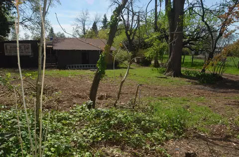19002 W Niles Ln, Redding, CA 96002 photo 27