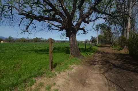 19002 W Niles Ln, Redding, CA 96002 photo 32