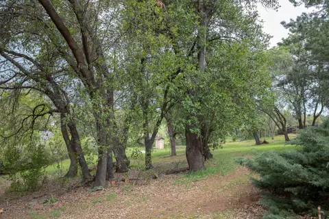 1600 Filaree Dr, Redding, CA 96002 photo 17