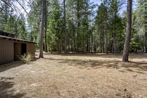 8070 Richards Ln, Shingletown, CA 96088 photo 33