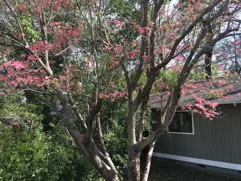 3472 Thomas Ave, Anderson, CA 96007 photo 3