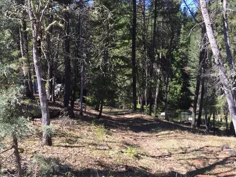 36357 Clark Creek Rd, Burney, CA 96013 photo 28