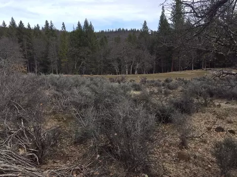 36357 Clark Creek Rd, Burney, CA 96013 photo 33