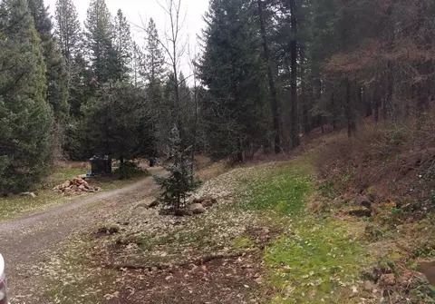 36357 Clark Creek Rd, Burney, CA 96013 photo 30