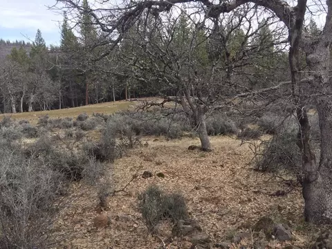 36357 Clark Creek Rd, Burney, CA 96013 photo 32