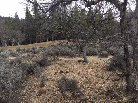 36357 Clark Creek Rd, Burney, CA 96013 photo 34
