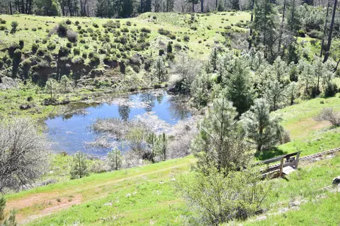 704 Kellogg Gulch Rd, Hayfork, CA 96041 photo 33