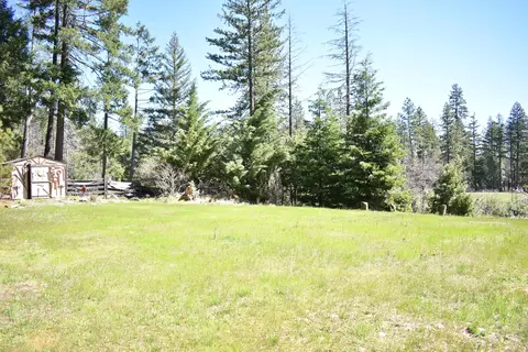 704 Kellogg Gulch Rd, Hayfork, CA 96041 photo 29