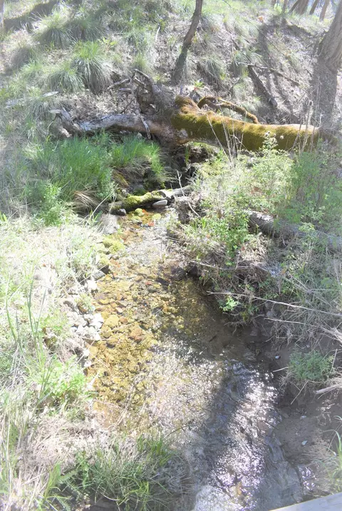 704 Kellogg Gulch Rd, Hayfork, CA 96041 photo 30