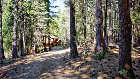 7274 Shasta Forest Dr, Shingletown, CA 96088 photo 42