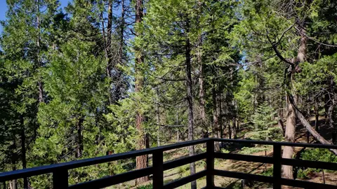 7274 Shasta Forest Dr, Shingletown, CA 96088 photo 10