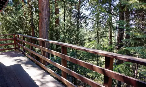 7274 Shasta Forest Dr, Shingletown, CA 96088 photo 12
