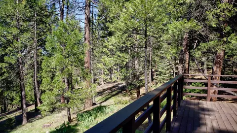 7274 Shasta Forest Dr, Shingletown, CA 96088 photo 20
