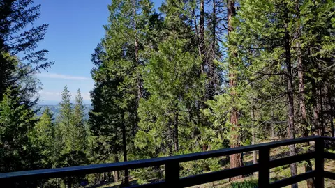 7274 Shasta Forest Dr, Shingletown, CA 96088 photo 3