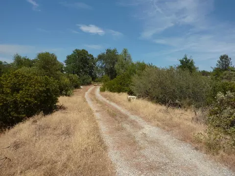 16155 Laurie Ann Ln, Redding, CA 96001 photo 3