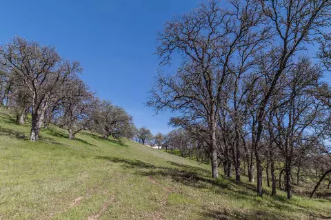 15775 Skyline Dr, Red Bluff, CA 96080 photo 7