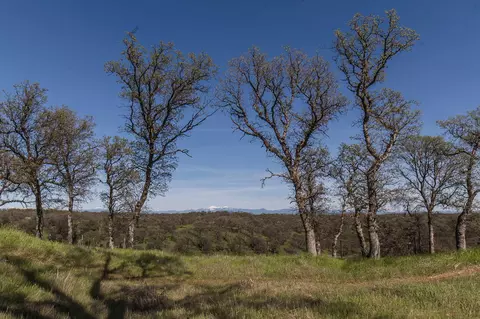 15775 Skyline Dr, Red Bluff, CA 96080 photo 8