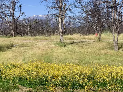 11169 Baker Rd, Redding, CA 96003 photo 10