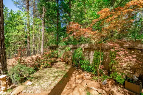 30621 Thumper Dr, Shingletown, CA 96088 photo 4